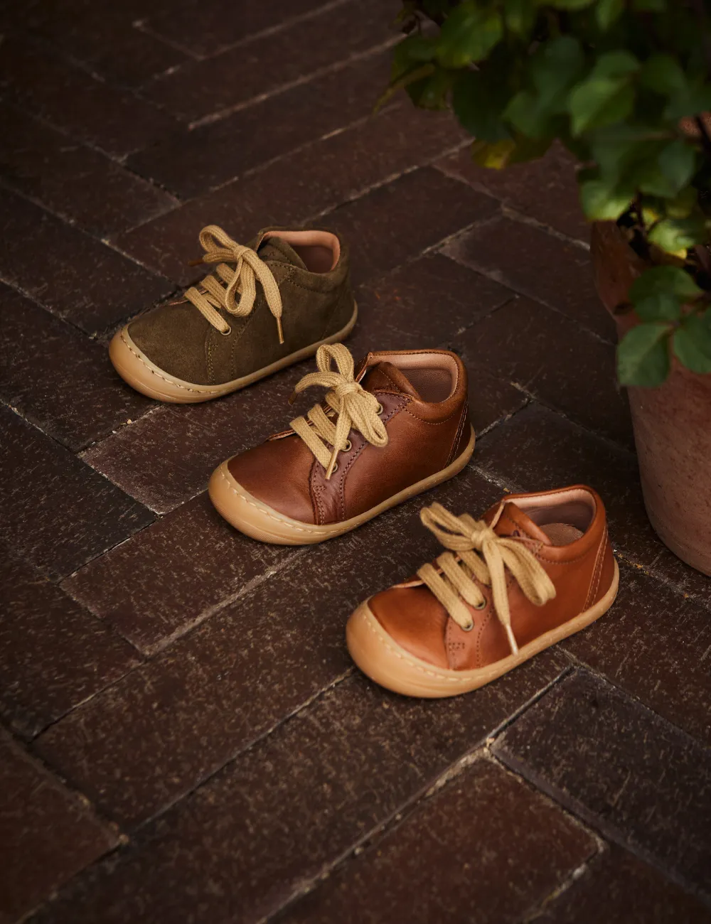 Lacets de chaussures quotidiennes - Noisette