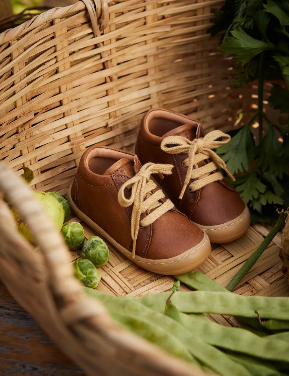 Lacets de chaussures quotidiennes - Noisette