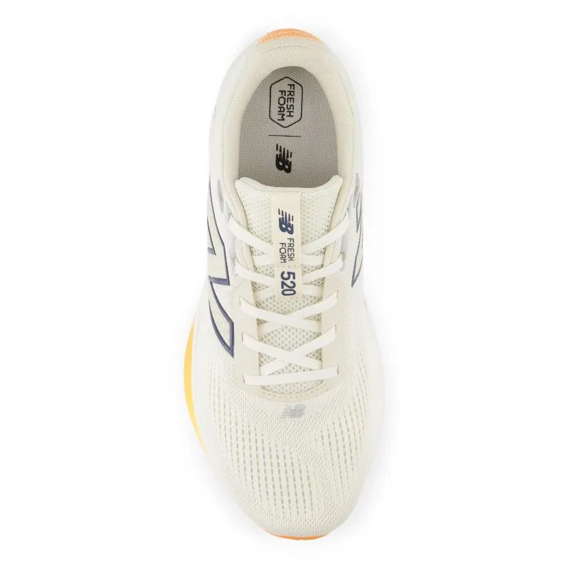 Chaussures de course New Balance 520v9 D pour Homme